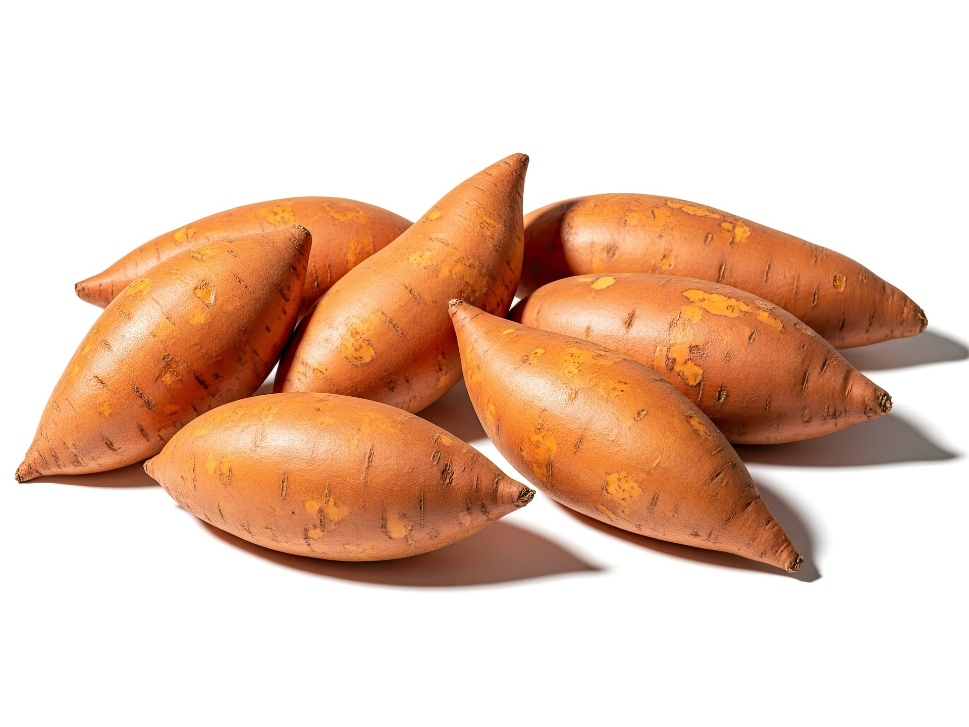 BATATA BONIATO