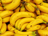 BANANA BOLIVIANA