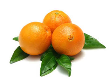 NARANJA OMBLIGO