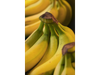 BANANA ECUADOR