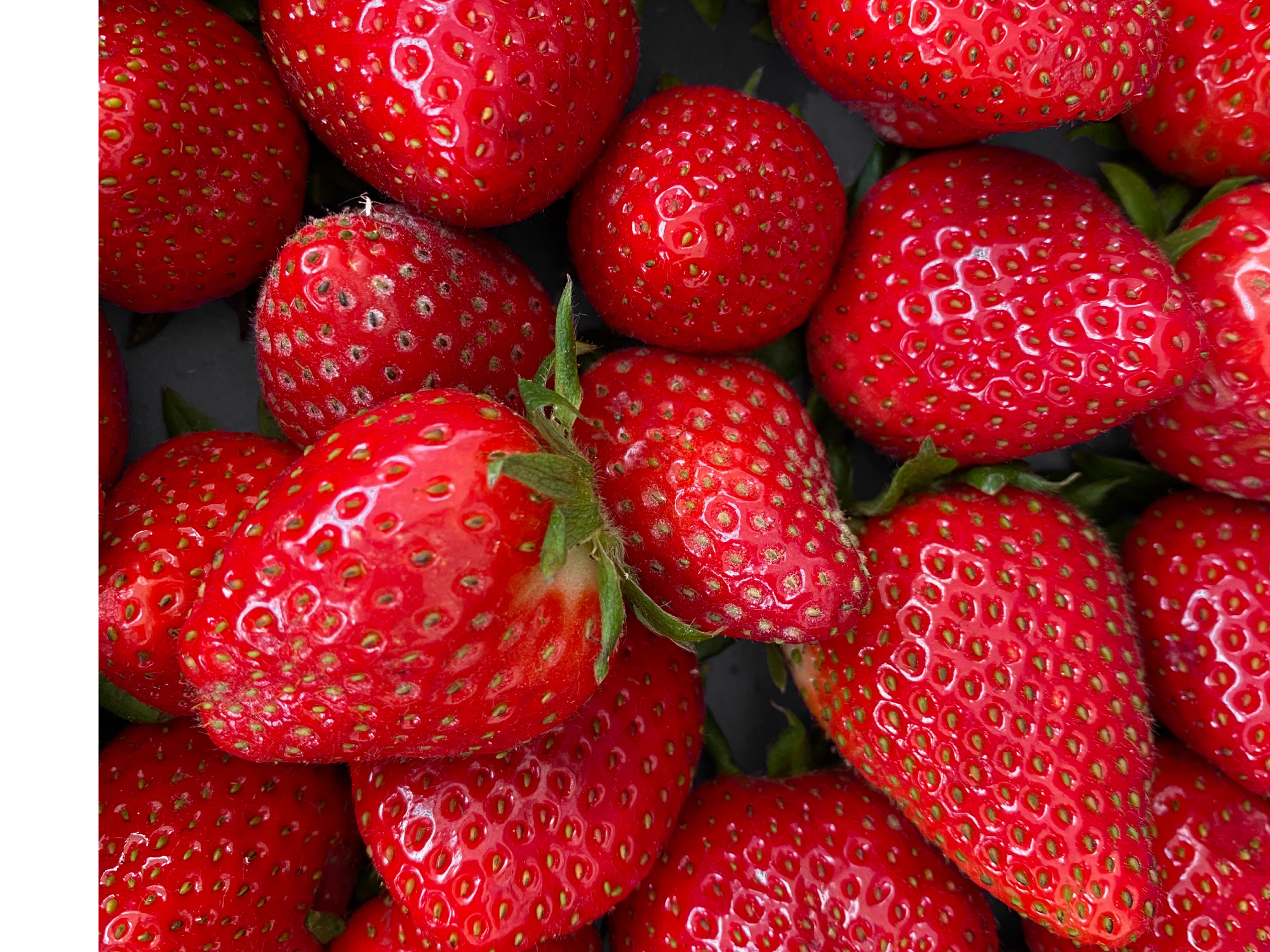FRUTILLA