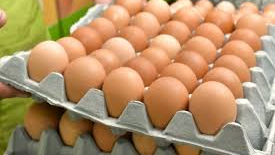 Maples de Huevos