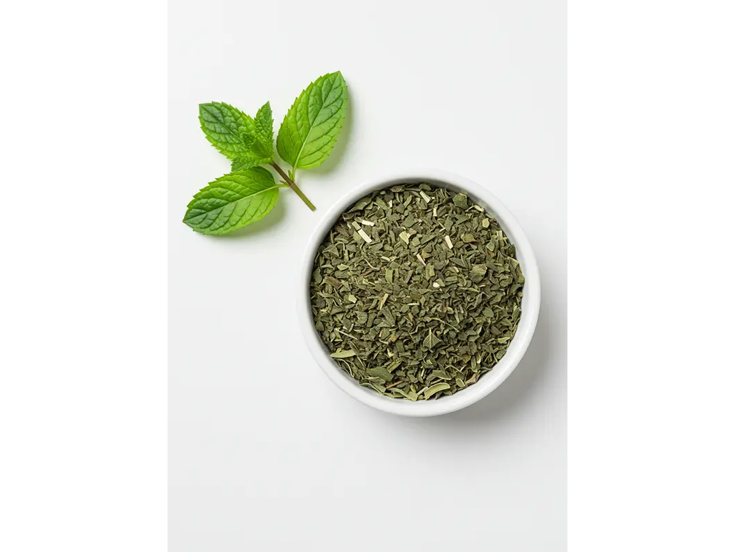 MENTA
