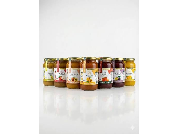 MERMELADA CIRUELA SIN AZUCAR(Naturel Gourmet)