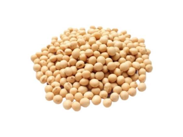 POROTO SOJA