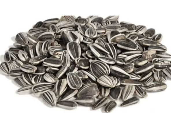 SEMILLAS DE GIRASOL C/ CASCARA