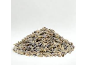 LAVANDA