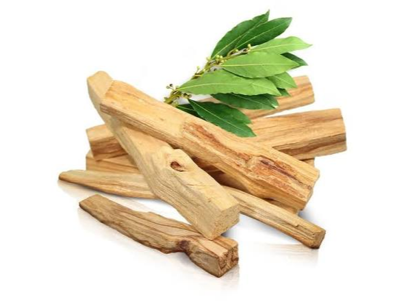 PALO SANTO