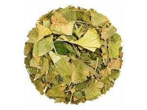 GINGKO BILOBA
