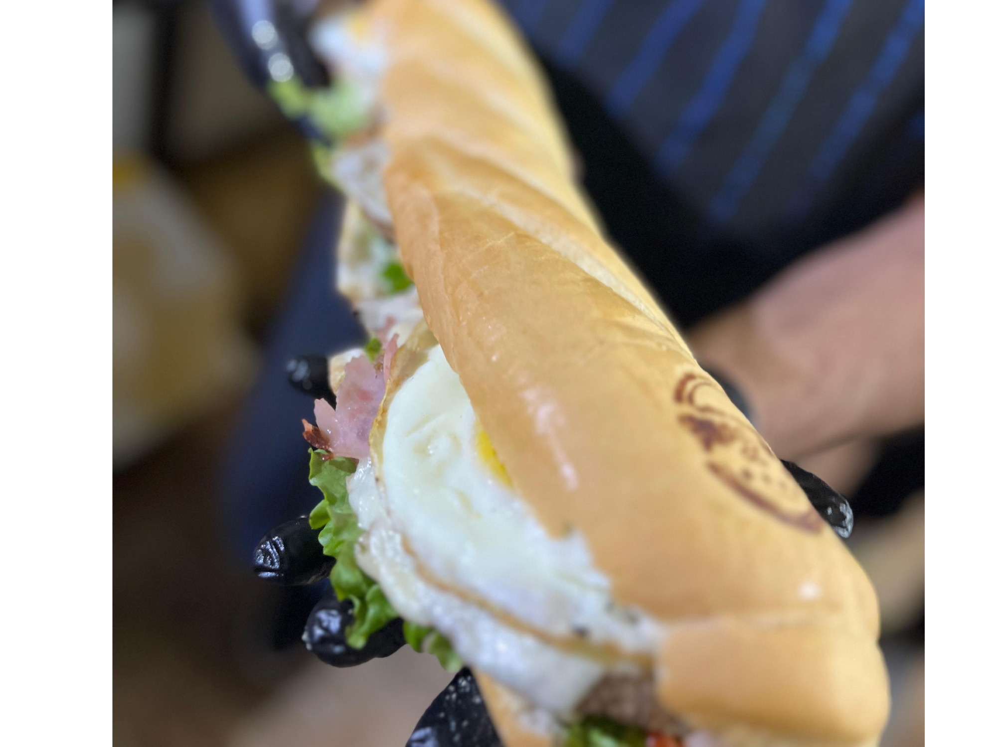 XL milanesa especial