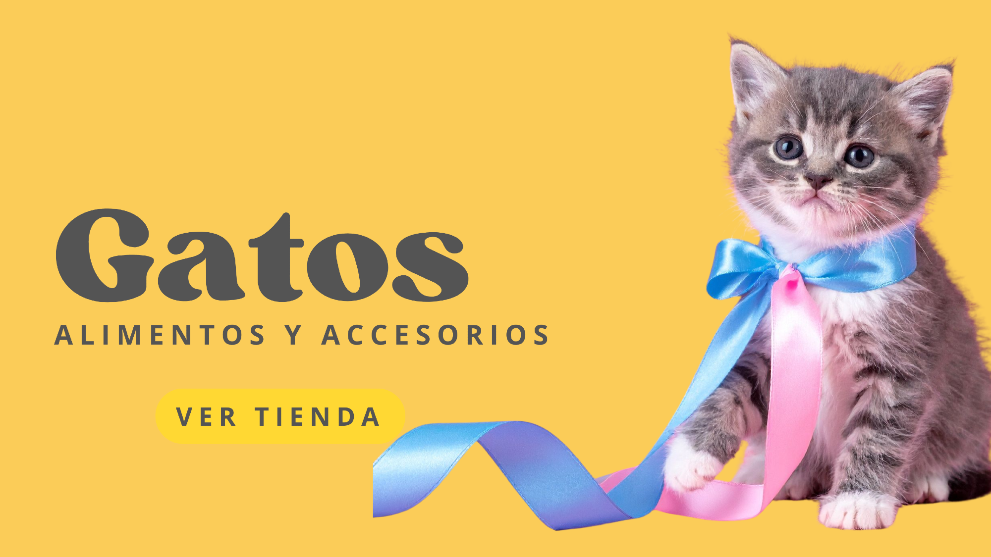 Gatos
