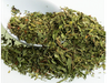 STEVIA EN HOJAS