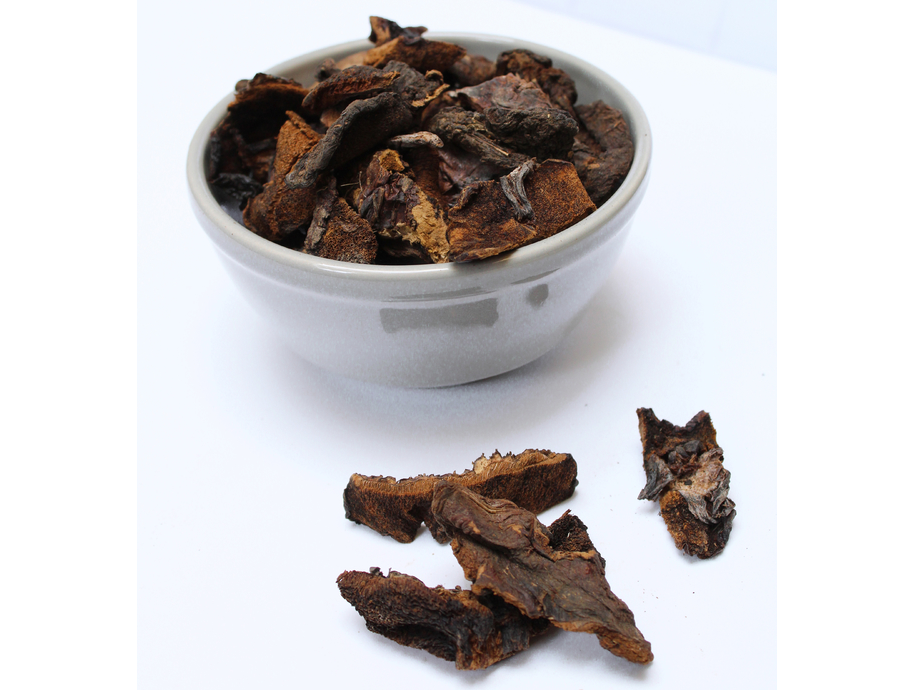 Hongos de Pino Importados