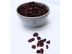 Arándanos Deshidratados Chilenos