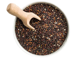 Semilla de Quinoa Negra