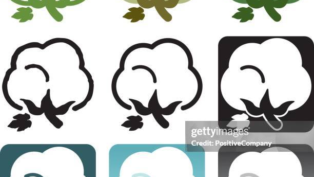 Pilca pañal | ALGODON