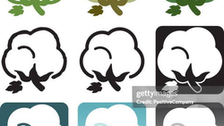 Pilca pañal | ALGODON