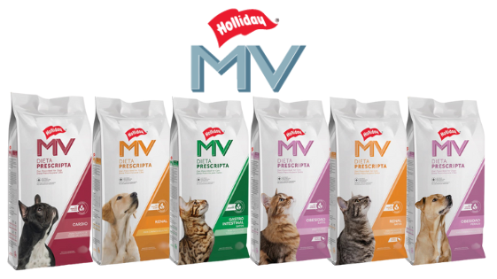 MV HOLLIDAY A PEDIDO