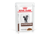 POUCH GATO GASTROINTESTINAL X 85Gr