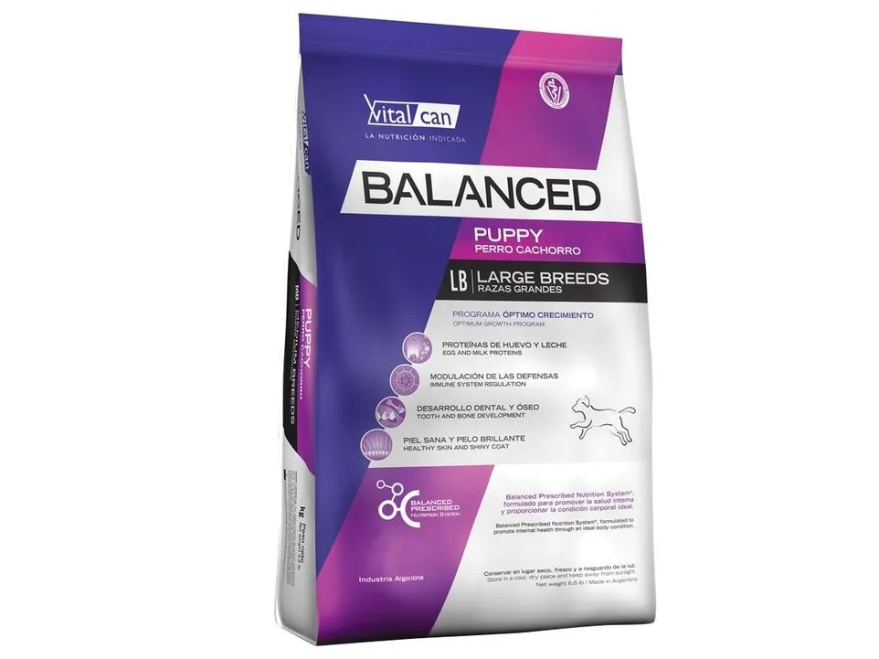 BALANCED CACHORRO RAZA GRANDE
