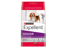 EXCELLENT SENIOR +7
