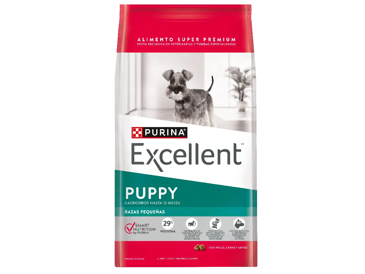 EXCELLENT CACHORRO RAZA PEQUEÑA