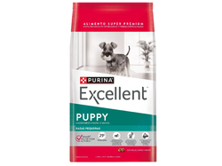 EXCELLENT CACHORRO RAZA PEQUEÑA