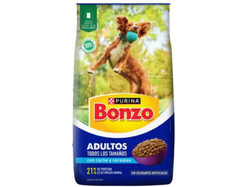 BONZO ADULTO