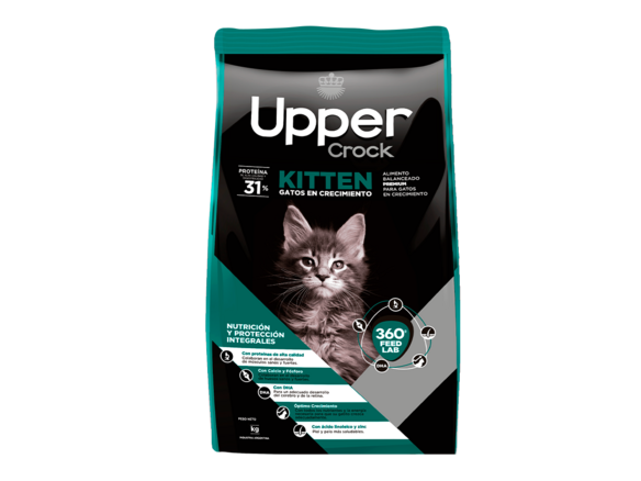 UPPER KITTEN
