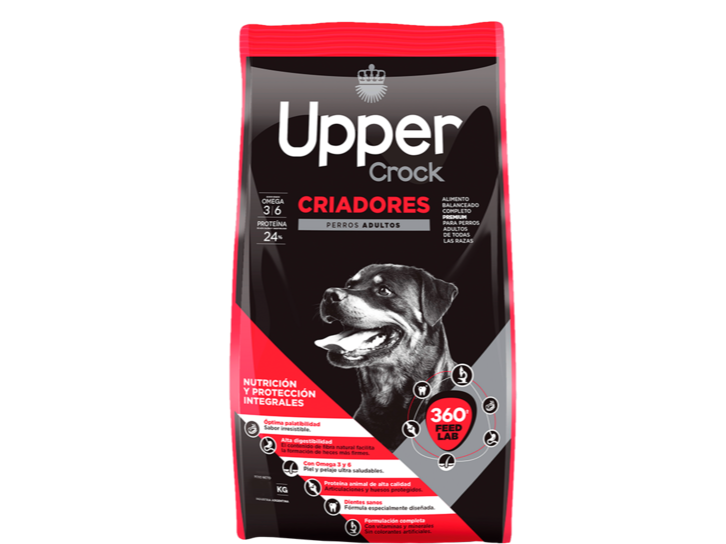 UPPER ADULTO CRIADORES