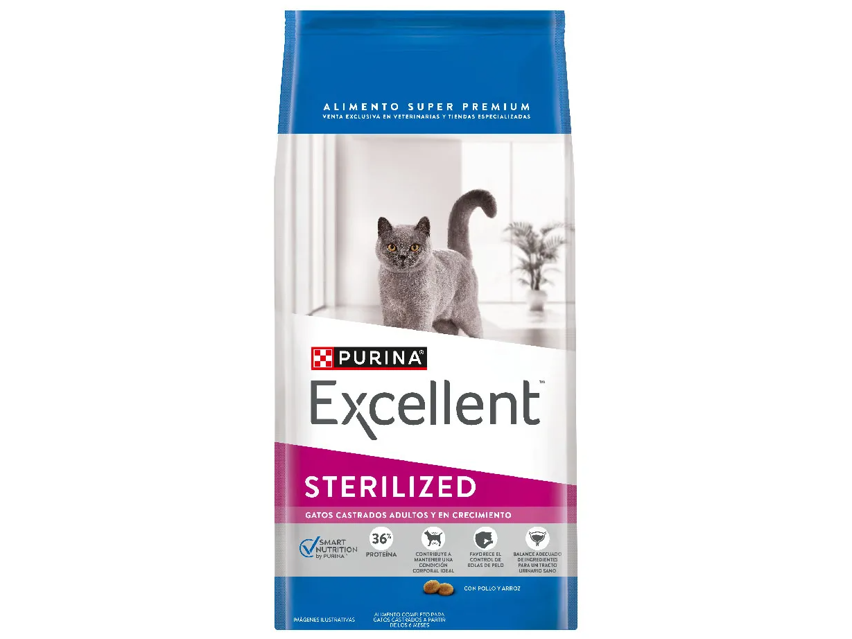 EXCELLENT GATO STERILIZED