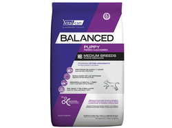 BALANCED CACHORRO RAZA MEDIANA