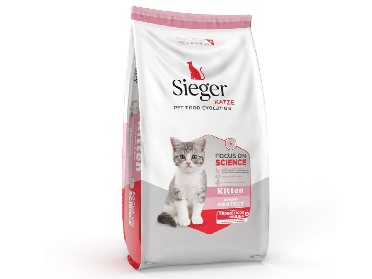SIEGER KITTEN