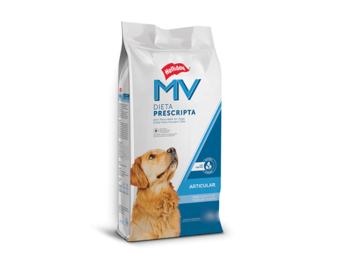 Mv Holliday perro Articular