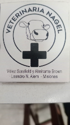 Logo Nagel clínica vetetrinaria