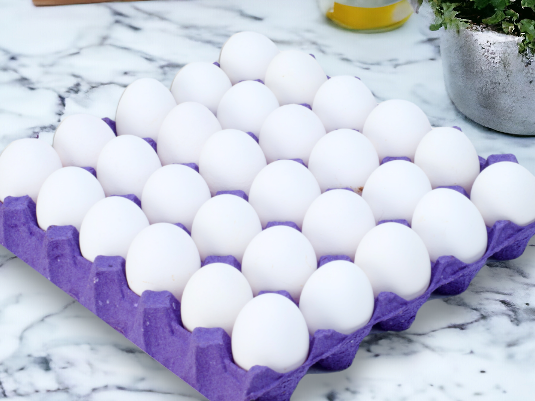 2 MAPLES CHICOS (N° 4)