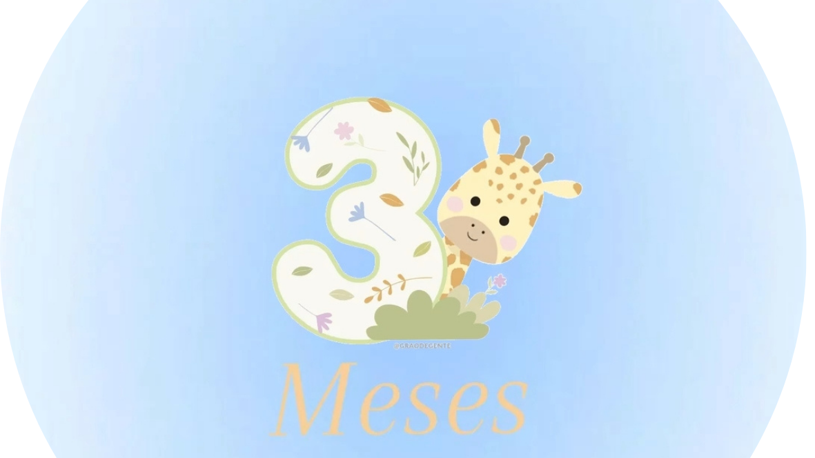Meses