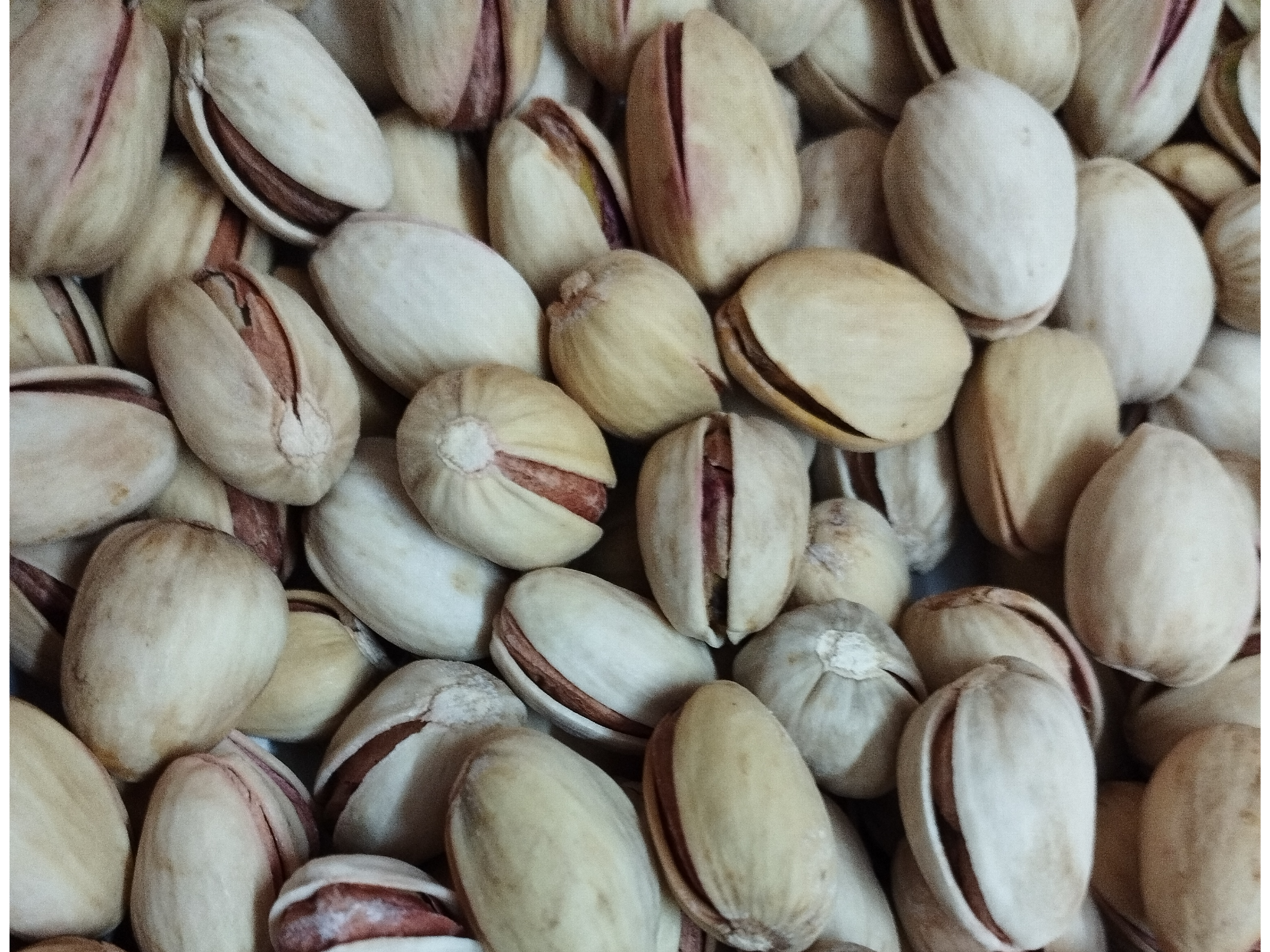 Pistachos