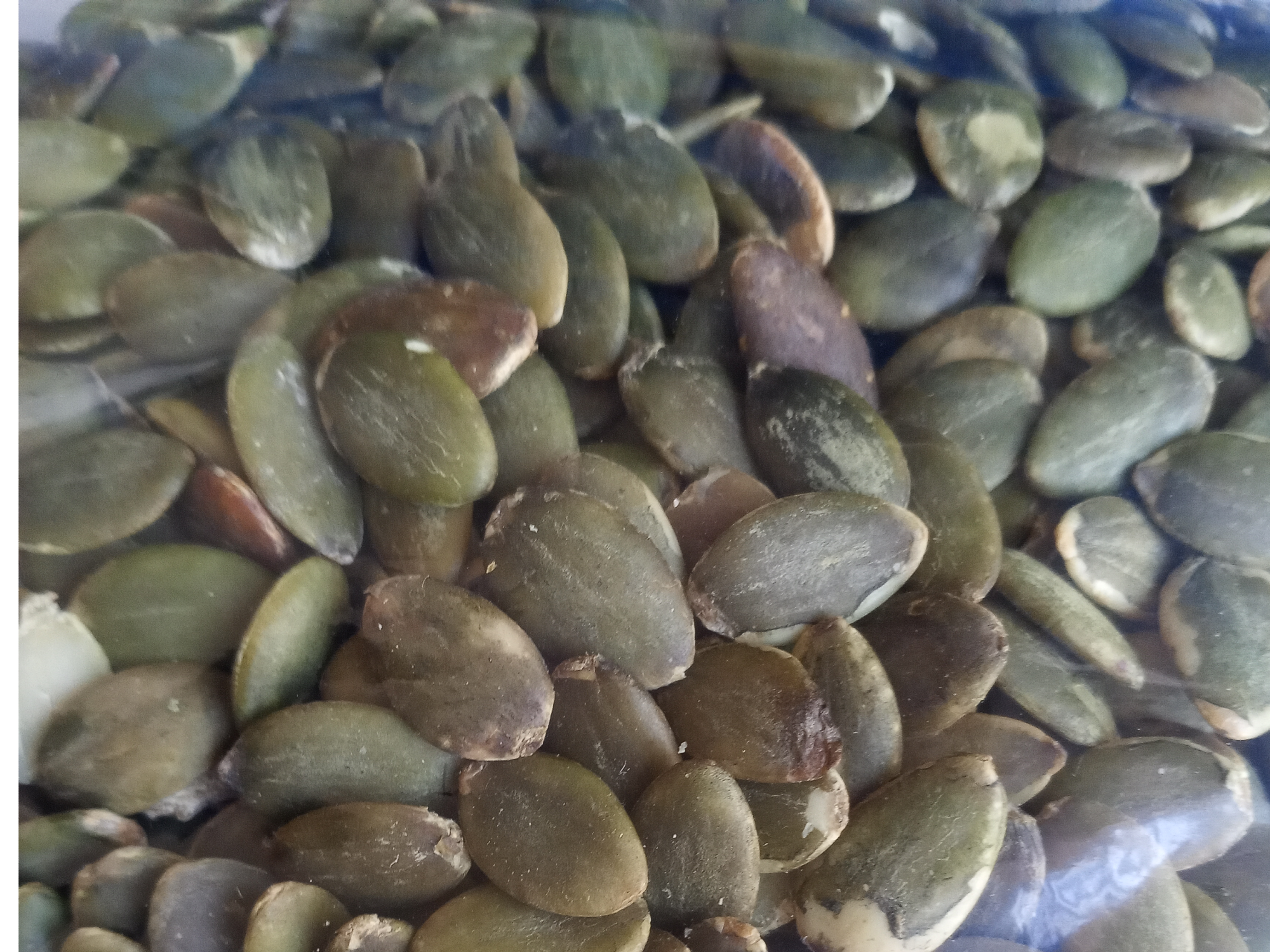 Semillas varias x 1 kg