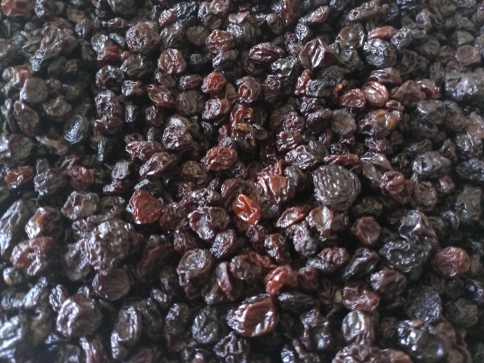 Arandanos Rojos Enteros orig. Chile x 1 kg