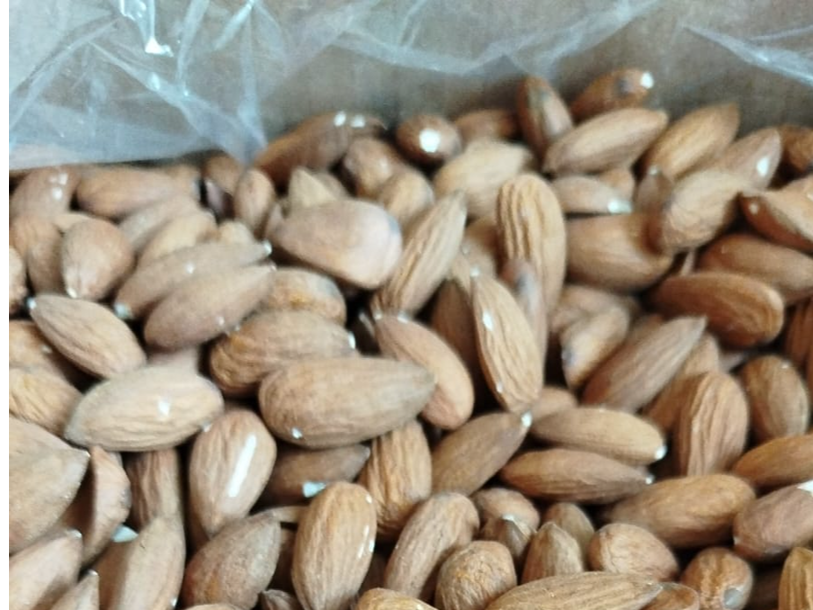 Almendra Guara Partida