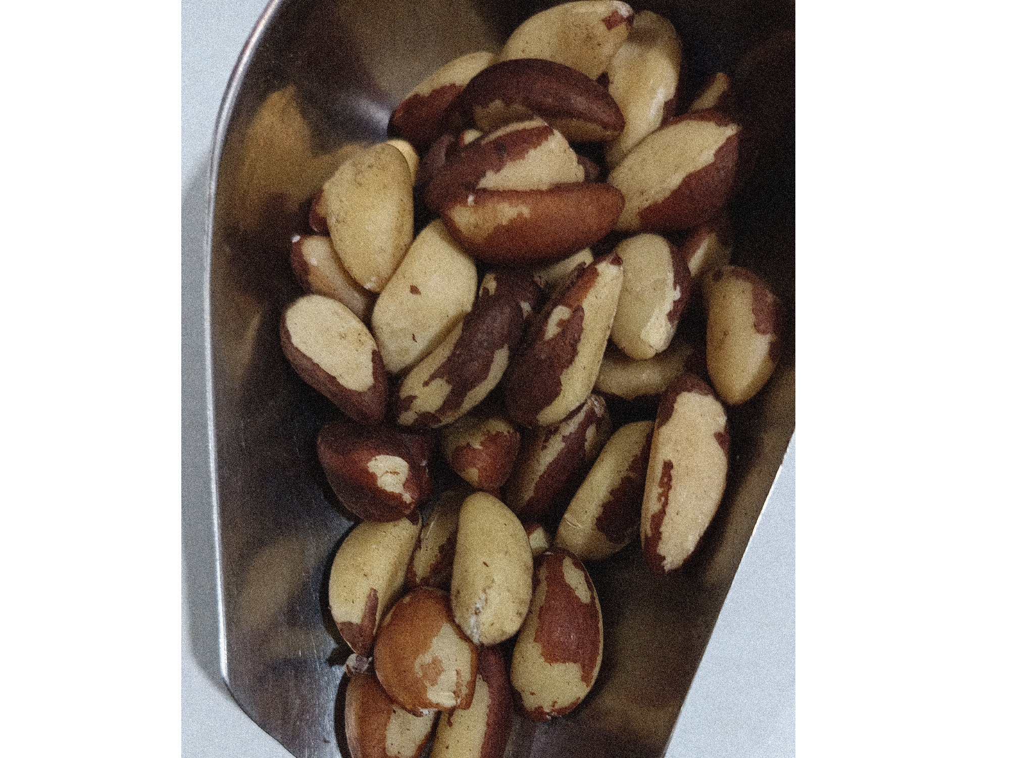Castañas de Pará. Origen Pará Brasil. Precio por kg de H.O.P.