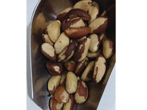 Castañas de Pará. Origen Pará Brasil. Precio por kg de H.O.P.