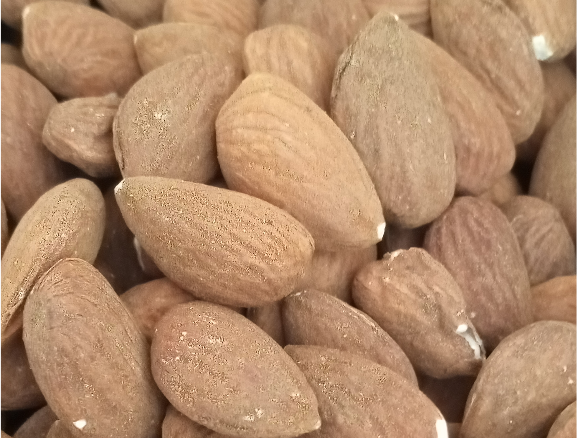 Almendras Non Pareil Ramillada precio por 1 kg