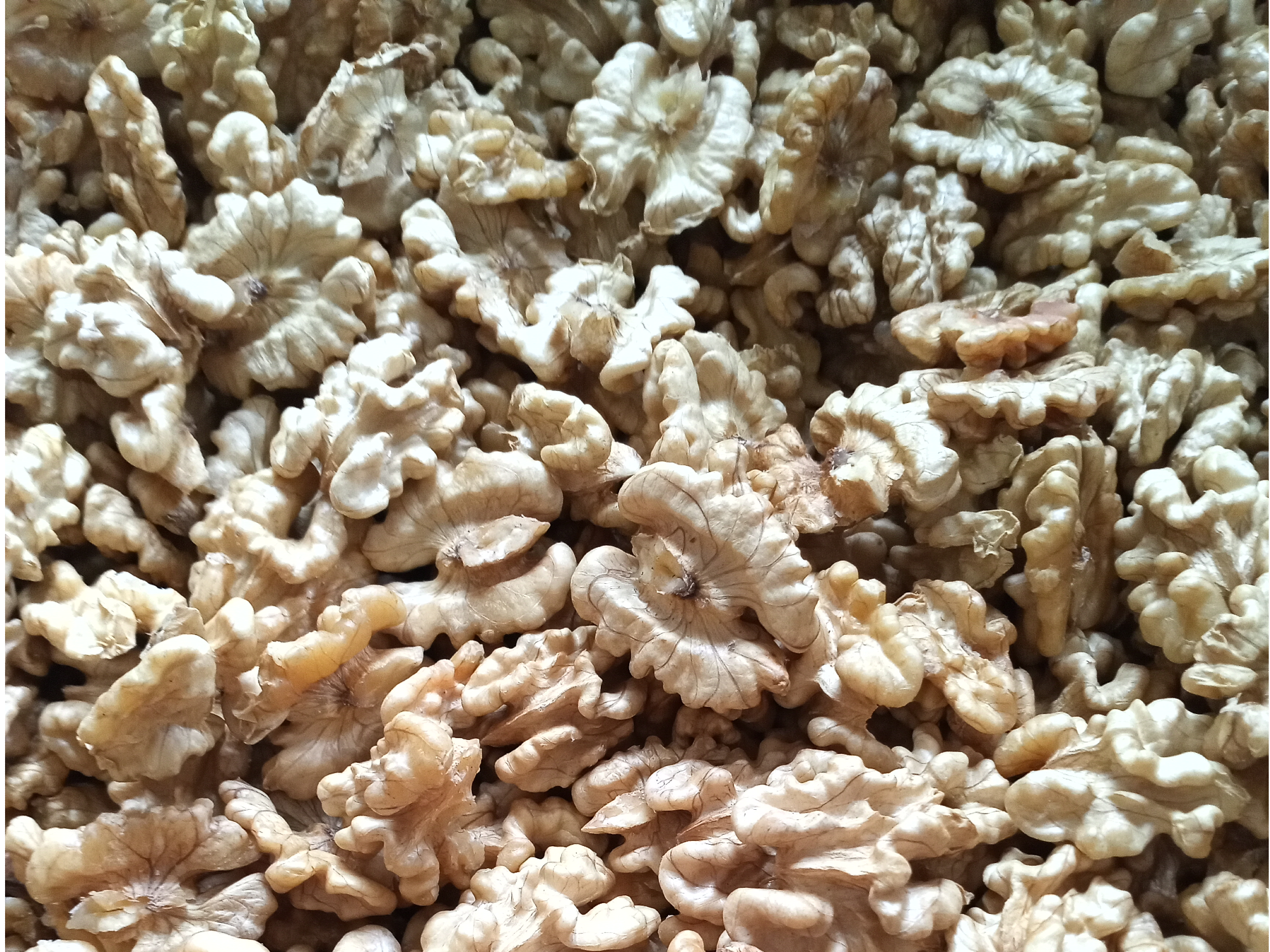 Nueces