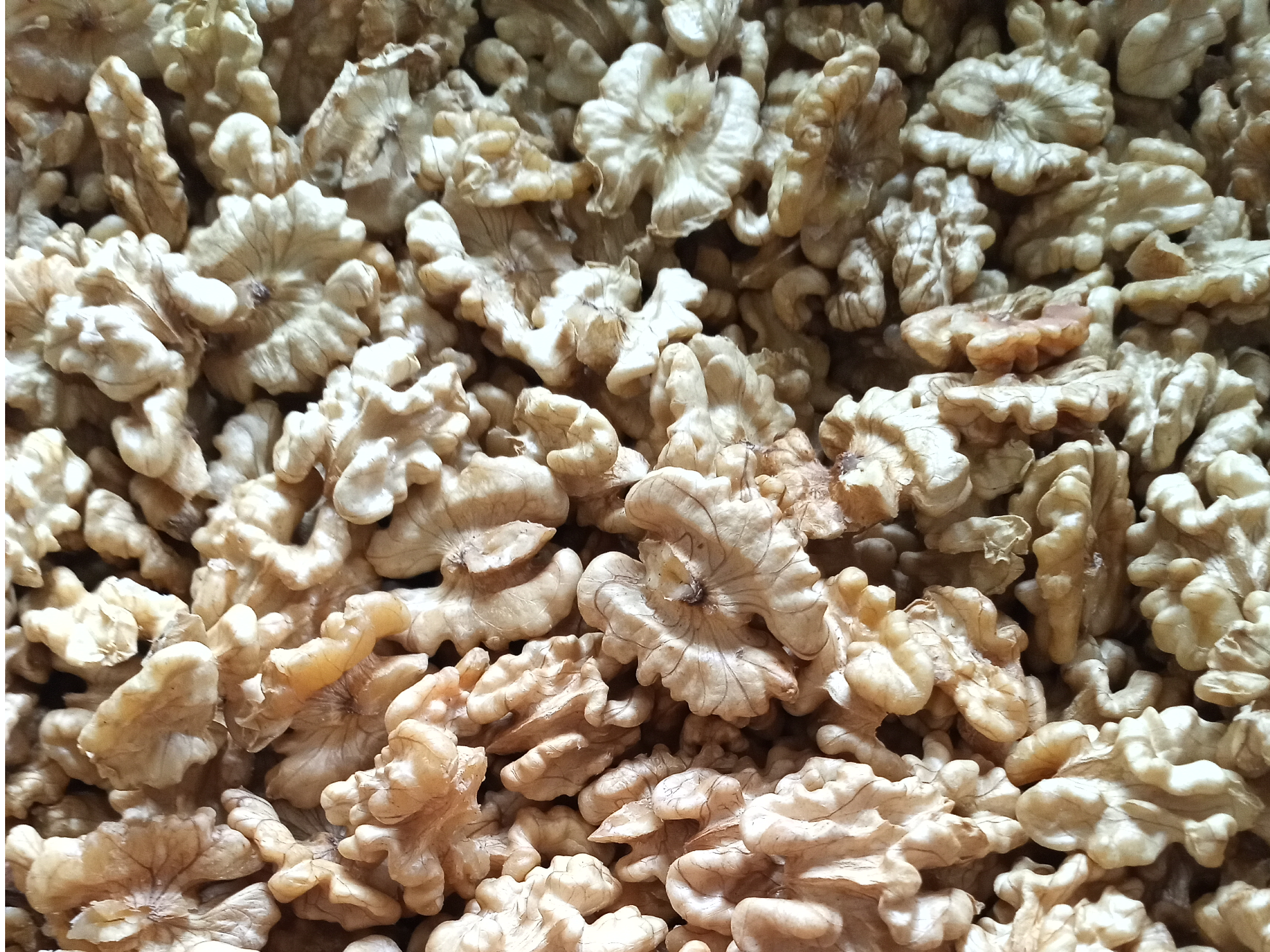 Nuez Mariposa Extra Light