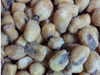 Maiz Frito orig. España x 1 kg