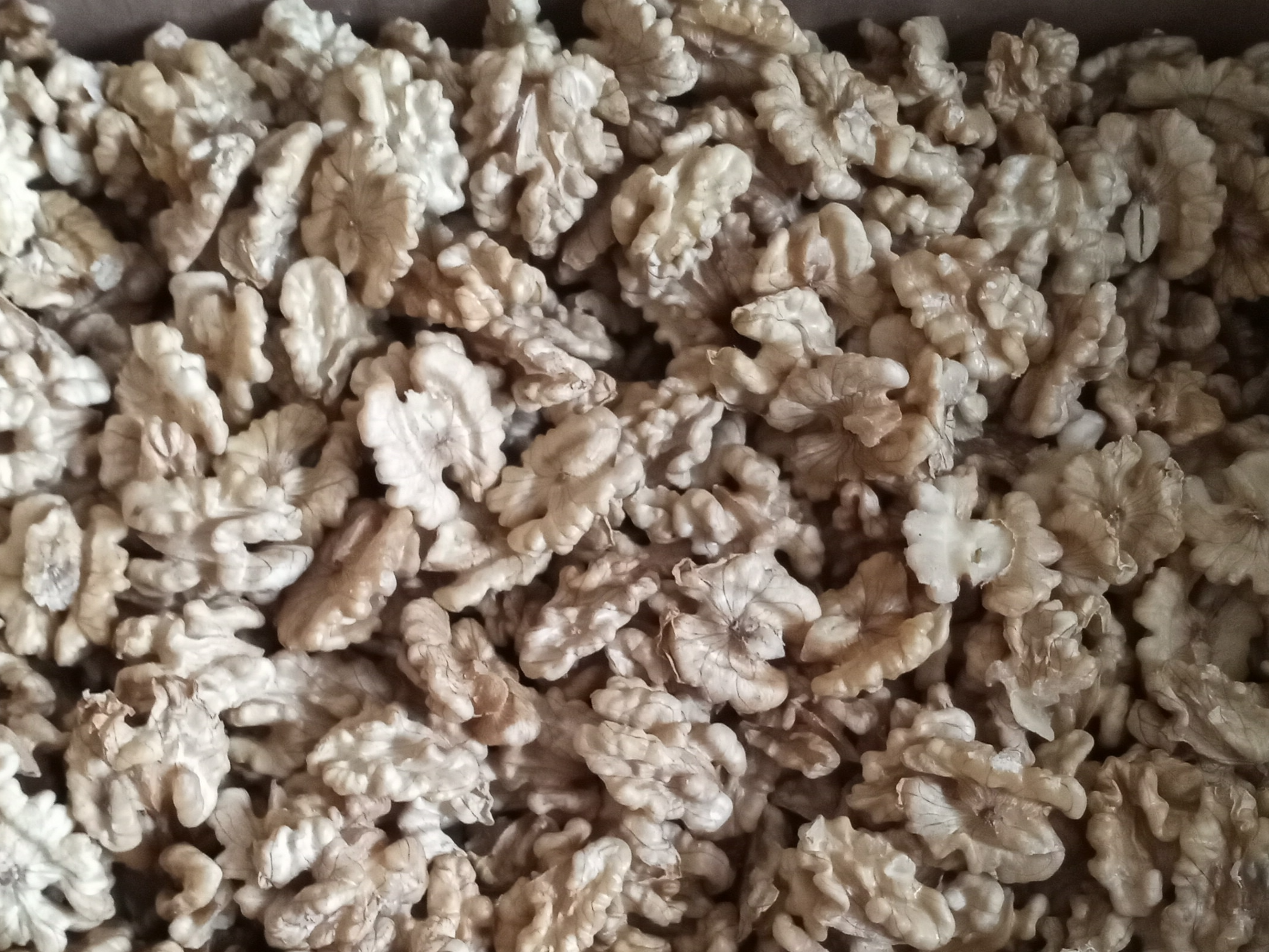 Nuez Cuartos Exra Light