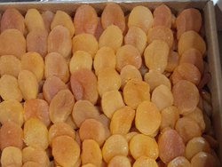 Damascos Turcos Caja por 5 kg