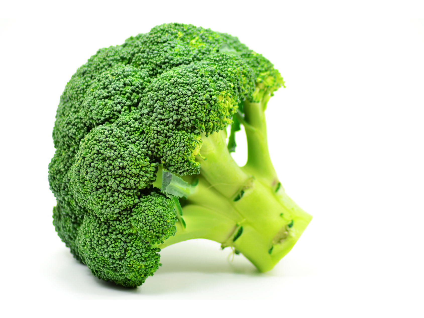 Brocoli 1 Un